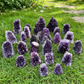 Aura Tranquility Amethyst Cluster — Raw Uruguay Violet Geode Altar Anchor