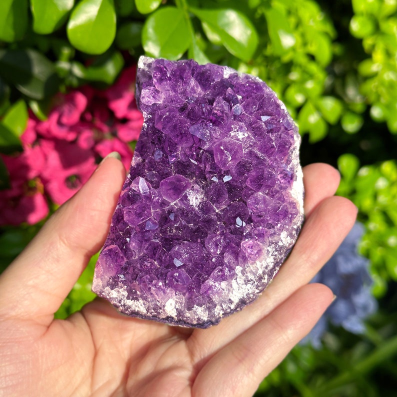 Aura Tranquility Amethyst Cluster — Deep Violet Geode Altar Anchor (Style 2)