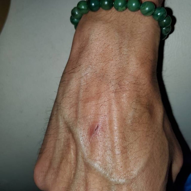 Aura Lucky Jade Bangle — Real Green Jadeite Bead Wristband (Queue #7)