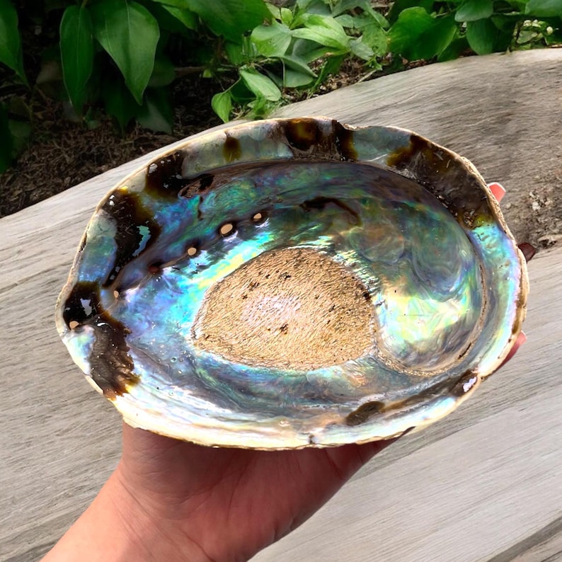 Aura Sacred Smudge & Aura Cleansing Kit — Palo Santo, Sage & Abalone Shell Set