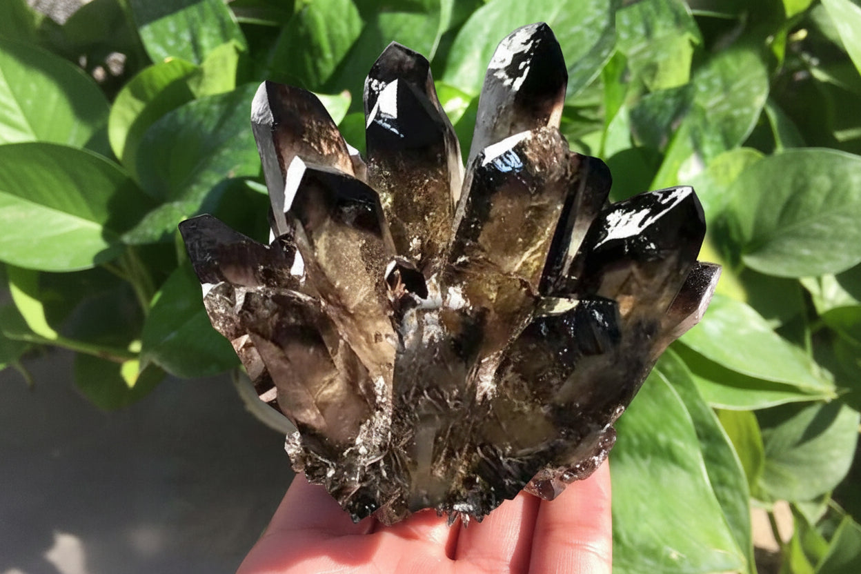 Aura Grounding Smoky Quartz Cluster — Raw Geode Altar Anchor