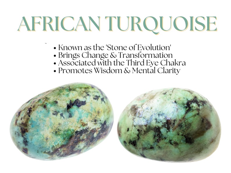 Aura Wealth & Abundance Strand — Citrine, Pyrite & Tiger's Eye (Queue #11)