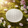 Aura Seven Chakras Selenite Charging Plate — Multi-Chakra Alignment Cleansing Slab